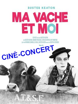 vache300